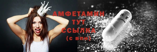 твердый Арсеньев