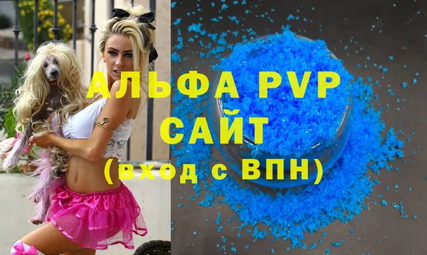 твердый Новозыбков