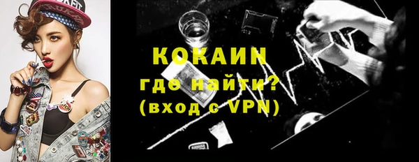 твердый Новодвинск