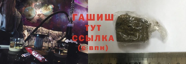 твердый Новозыбков