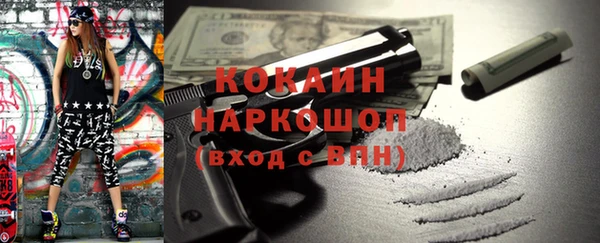 твердый Новодвинск