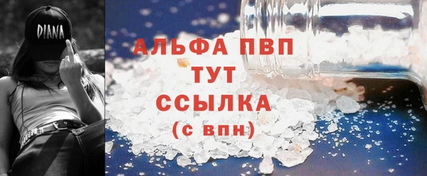 твердый Новодвинск