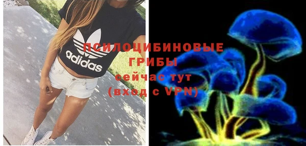 стафф Новокубанск
