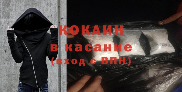 твердый Арсеньев